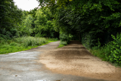 Gut Leidenhausen (rechts der Weg für die Pferde vom Gestüt Röttgen)