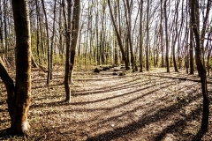 ehemaliger jüdischer Friedhof in Porz-Zündorf