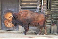 Kölner Zoo