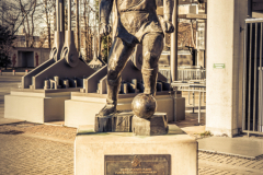 am RheinEnergieSTADION