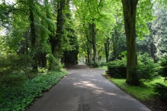 auf dem Südfriedhof