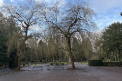 auf dem Südfriedhof